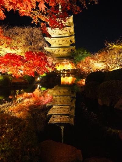 今年こそ京都へ！12月でもまだまだ紅葉を楽しめました①東寺のライトアップ