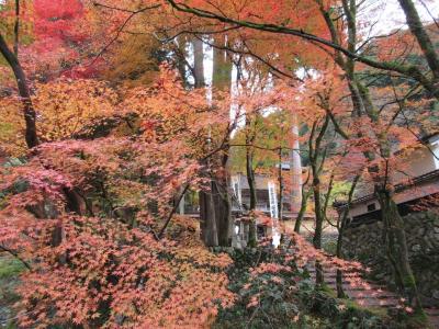 ２０２１　岐阜さんぽ～秋の横蔵寺～