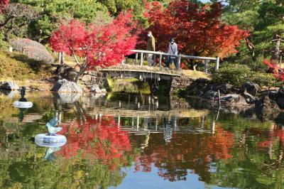 市街地の紅葉はまだまだでした♪　園児の歓声がひびく名古屋白鳥公園♪