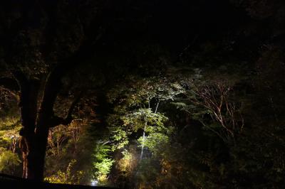 秋の伊豆と信州の優雅な旅♪　Vol.55 ☆湯ヶ島温泉アルカナイズ：夜の灯りの美しいザ・スイート♪