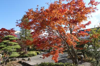秋の伊豆と信州の優雅な旅♪　Vol.61 ☆上諏訪温泉：片倉館と美しい紅葉♪