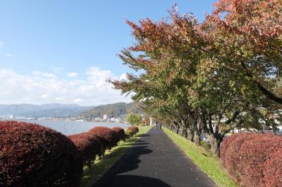 秋の伊豆と信州の優雅な旅♪　Vol.65 ☆上諏訪温泉：晩秋の諏訪湖♪