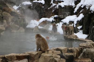 Hot Springs in Nagano