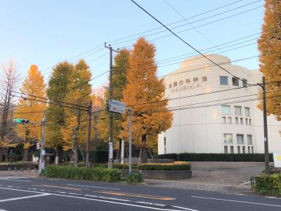 園結びチケット『六義園』の紅葉★お休み処でおしるこ＆甘酒『旧古河庭園』バラ園★洋館喫茶室でティータイム♪駒込【担々麺辣椒漢（らしょうはん）】