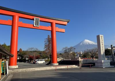 駿河一の宮富士山本宮浅間大社・身延山久遠寺「文化財を公共交通で巡るほうとうが美味しい冬の日帰り旅」