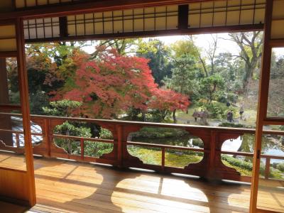 2年3ケ月ぶりの北海道を離れる旅　6日間　～初孫に会いに愛知へ、そして京都へ～　4日目その2