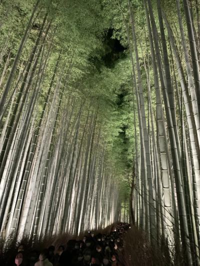 旅の途中　逢いに行くわ汽車に乗って～ KYOTO