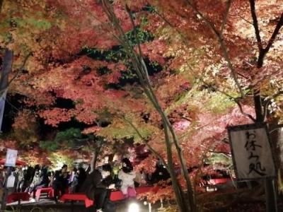 ’２１　京都 紅葉さんぽ８　永観堂の紅葉ライトアップ