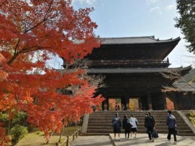 ’２１　京都 紅葉さんぽ９　南禅寺の紅葉