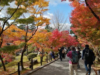 ’２１　京都 紅葉さんぽ１０　永観堂の紅葉