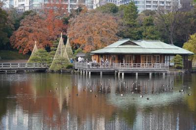 20211212-2 汐留 浜離宮庭園散歩です。やっぱりここ落ち着ける…