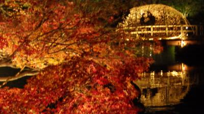 名古屋の名園　白鳥庭園の紅葉