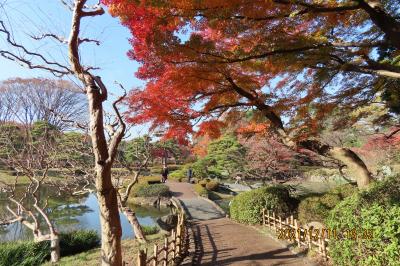 久し振りに皇居東御苑を訪問しました②二の丸庭園付近の紅葉