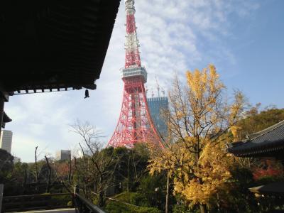 芝公園の増上寺から東京タワー