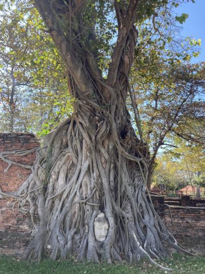アユタヤ 世界遺産 に関する旅行記 ブログ フォートラベル タイ Ayutthaya アユタヤ 世界遺産 に関する旅行記 ブログ フォートラベル タイ Ayutthaya