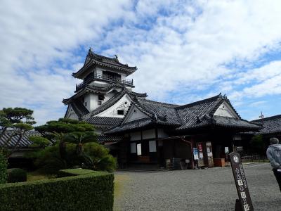 四国～神戸まで②：11/14 日曜市、桂浜、高知城