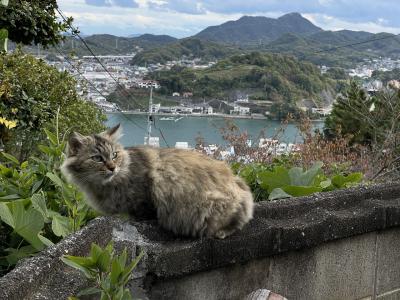 美しい島影 どこまでも穏やかな海…秋の瀬戸内ゆるり旅〈１〉再訪尾道☆彡我らがパラダイス(=^・^=)