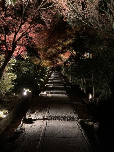 12.10夜～最終日 ライトアップ散策から淡路島へ