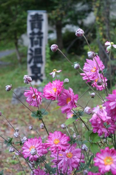 奥入瀬で女子会　その３