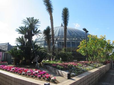 手柄山温室植物園＆姫水