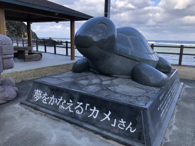 雄大な自然美を目にする感動の奄美大島七景めぐり３日間①１日目の１　自宅～羽田～奄美大島