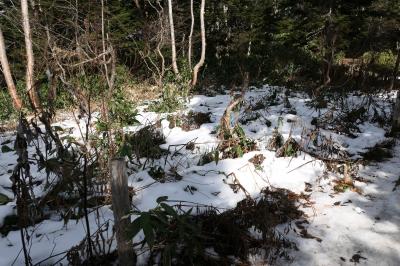 秋の伊豆と信州の優雅な旅♪　Vol.91 ☆新穂高ロープウェイ：西穂高口駅周辺の雪散歩♪