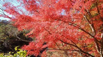 2021秋 山梨シンゲンランドの旅