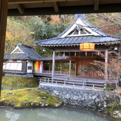 【冬の伊豆旅行】憧れの修善寺あさば(到着～客室編)