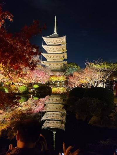 京都東寺ライトアップ