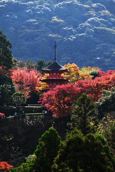 京都清水寺・秋