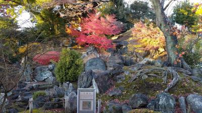 越原記念館・名古屋城西の丸御蔵城宝館と紅葉2021