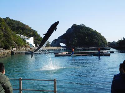 南紀への旅2021晩秋【２】(クジラ＆イルカ篇）