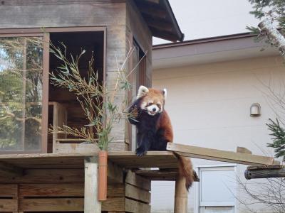 千葉市動物公園　前編