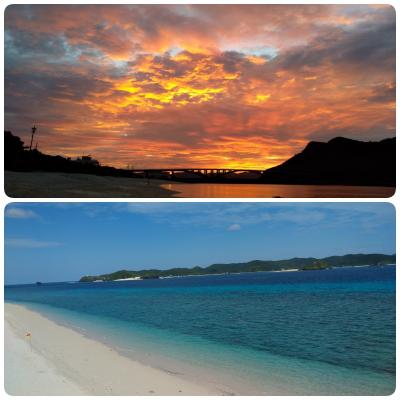 今年最後の締めで阿嘉島へ～4日目　いよいよ今年最後の海遊びの日
