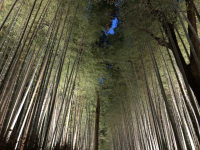 アジア初のLXR『 ROKU京都』でホカンス♪　そして「嵐山花灯路」