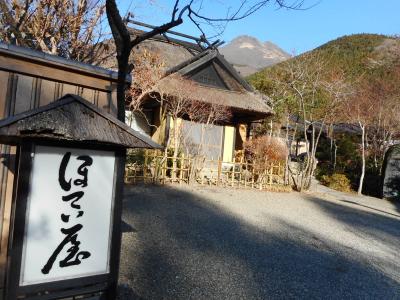 湯治を兼ねて、由布院温泉で湯ったりおこもりの旅。ほてい屋編