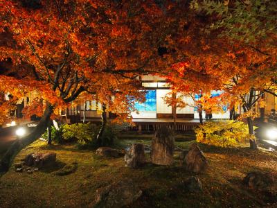 京都・散り紅葉と南座と鯖寿司①