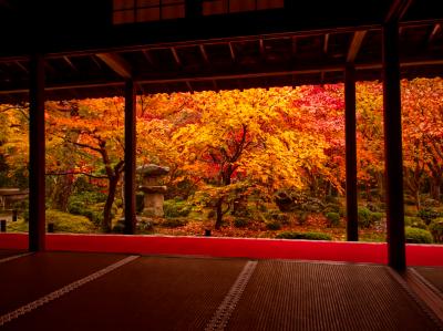 スマホなしの京都一人旅　調べて歩いて尋ねまくった2泊3日！