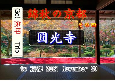 Go!朱印Trip to錦秋の京都④ 2021Nov.２日目am｢圓光寺｣