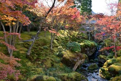 紅葉の季節に箱根の名所を巡る旅《Part.3》～大涌谷を越え、強羅・箱根美術館「神仙郷」へ～