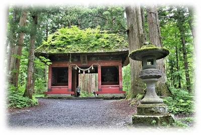 戸隠神社　奥社　九頭龍社