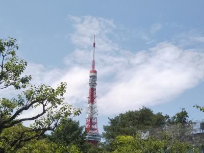 東京オリンピックとブルーインパルス