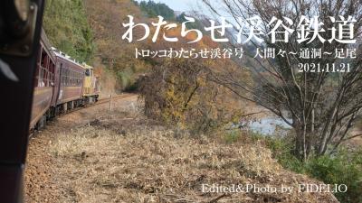 2021秋　北関東・足尾ローカル線の旅　～紅葉めぐりと近代日本産業の足跡を辿る～【わ鐵編】