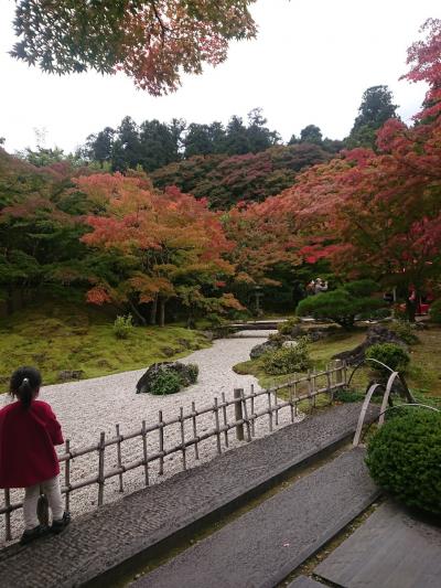 2020.10.30～11.4東北母子旅行①岩手四姉妹子連れドタバタ