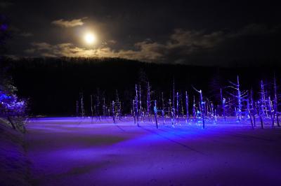 冬の北海道。美瑛のライトアップした青い池を見てきました。