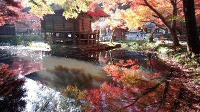 中尊寺～鳴子温泉～南三陸へ