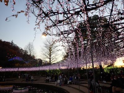 2021年 12月 妹家族と一緒にお泊り旅行～前編　佐野→あしかがフラワーパーク→宇都宮に宿泊