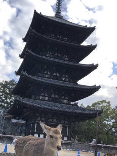 奈良公園～ならまち散策と奈良筆づくり体験