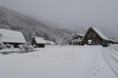 どこでもきっぷで行く！白川郷・富山の旅【1/2】