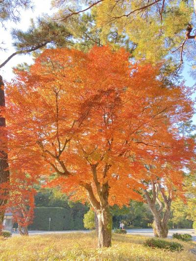 【三重】伊勢神宮、石神さんにお参り、食べ歩きも楽しみたい♪地中海村は美しかった